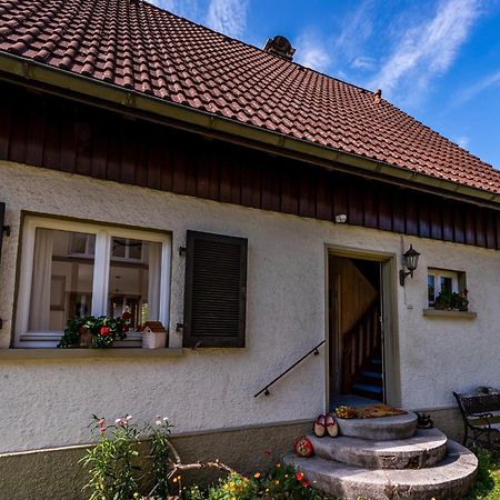 Gartenferienhaus "Annaluise" Schonau im Schwarzwald Ngoại thất bức ảnh