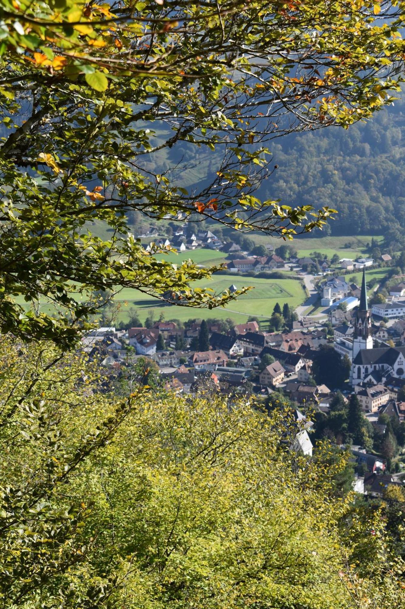 Gartenferienhaus "Annaluise" Schonau im Schwarzwald Ngoại thất bức ảnh