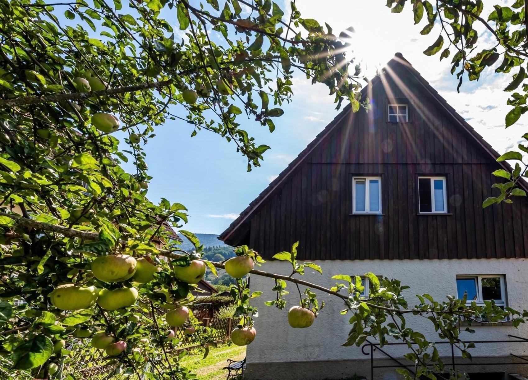 Gartenferienhaus "Annaluise" Schonau im Schwarzwald Ngoại thất bức ảnh