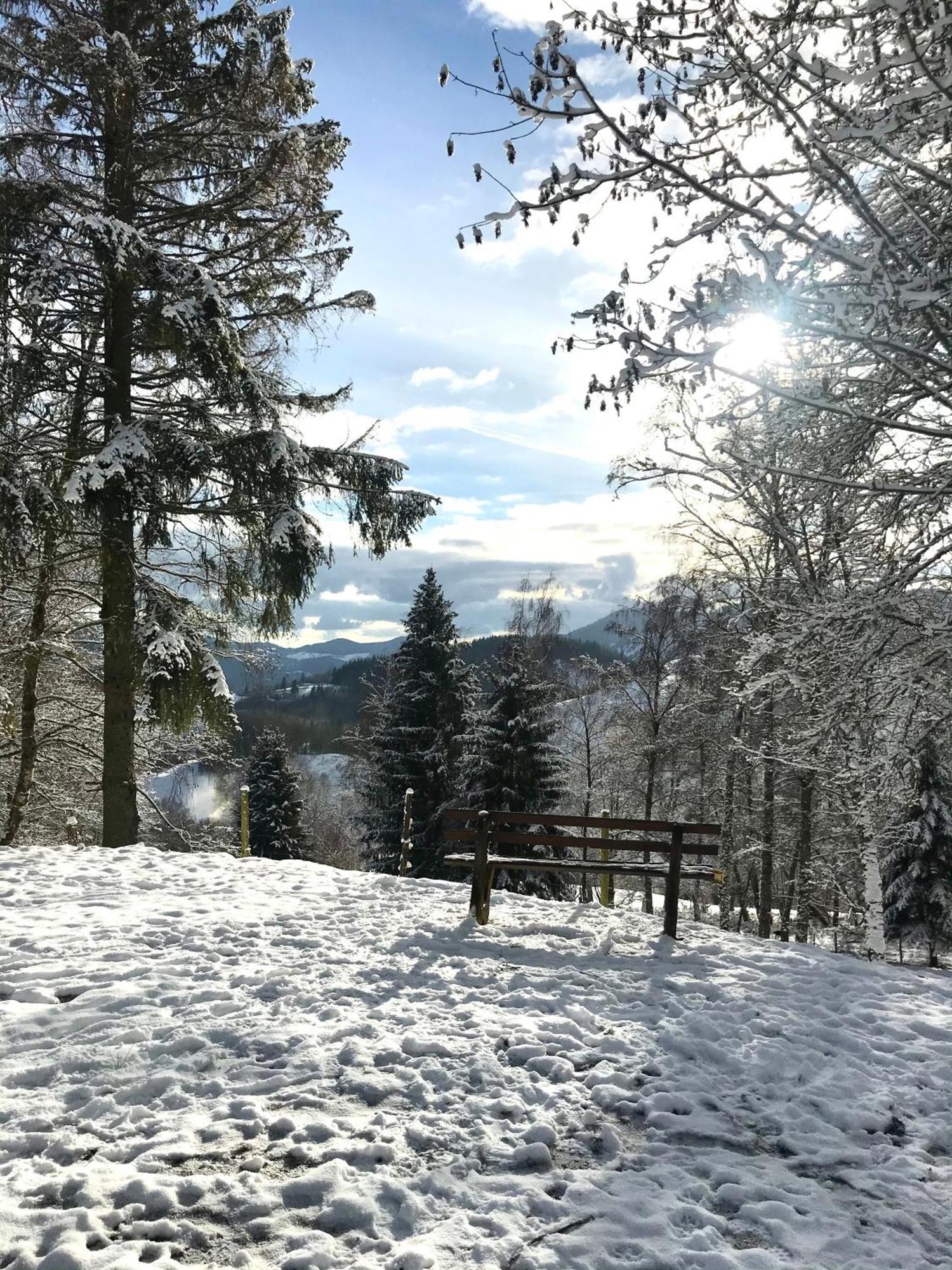 Gartenferienhaus "Annaluise" Schonau im Schwarzwald Ngoại thất bức ảnh